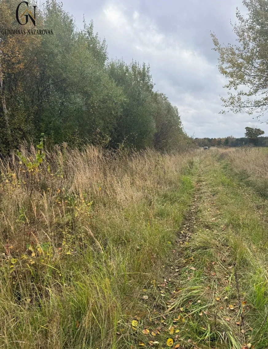 Sklypas Klaipėdos r. sav., Rusliuose, Lėbartų g. – nuotrauka 4