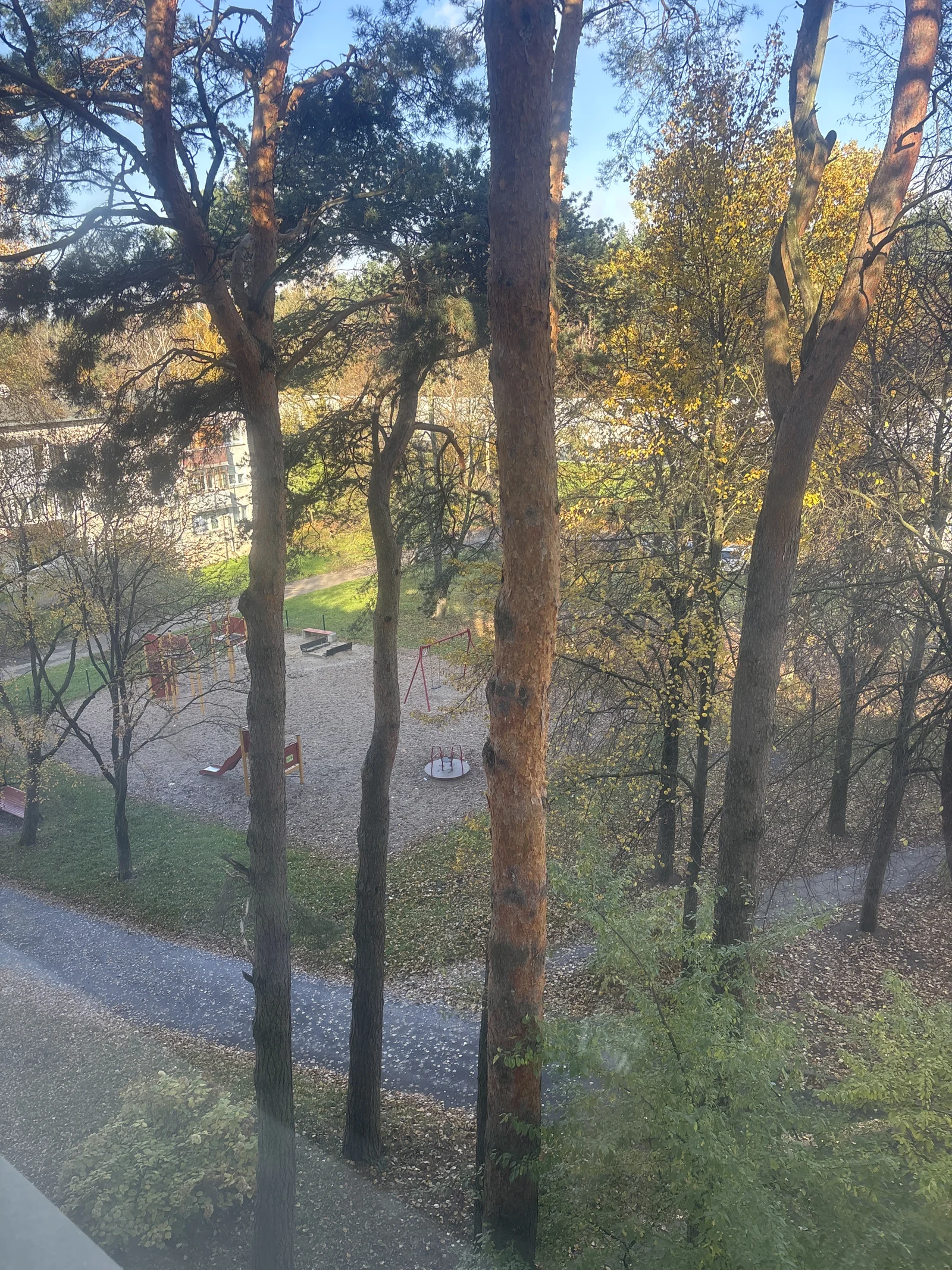 Kunigiškių g., Grigiškės, Vilnius, 4 kamb. – nuotrauka 4