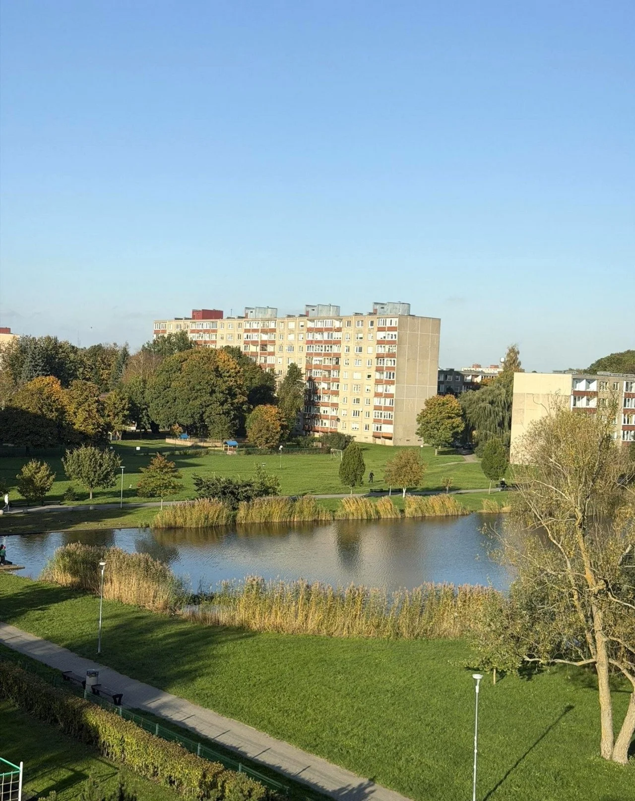 Reikjaviko g., Žardininkai, Klaipėda, 3 kamb. – nuotrauka 3