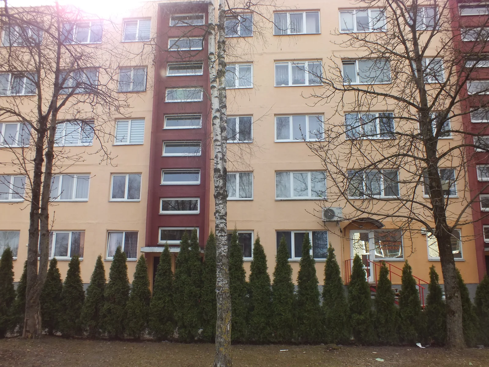 Tulpių g., Centras, Panevėžys, 2 kamb. – nuotrauka 1