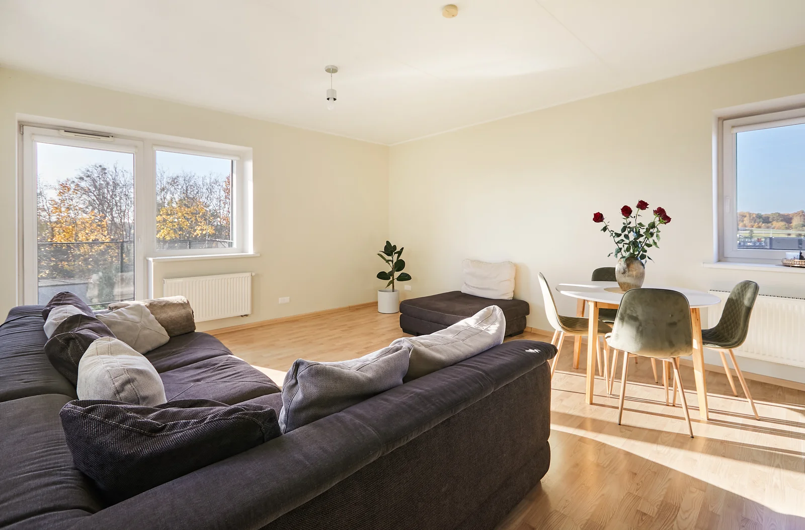 Eitkūnų g., Šilainiai, Kaunas, 3 kamb. – nuotrauka 5